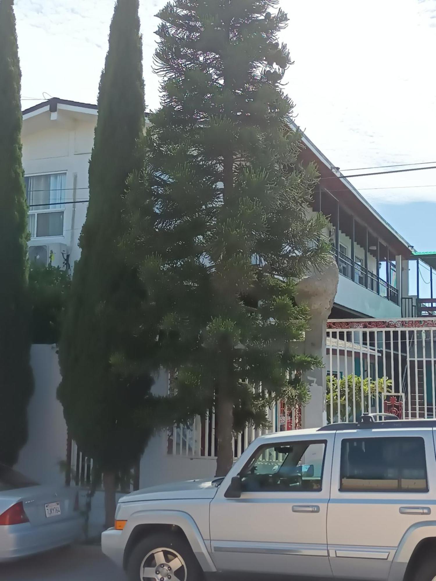 Apartamentos Rosarito.!! Con Vista Al Mar ! Экстерьер фото